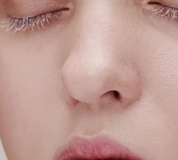 Bulbous or Round Nose Tip